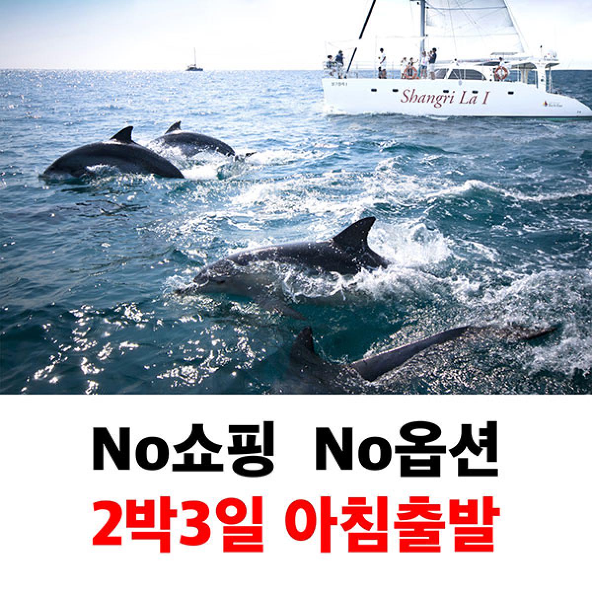 제주도패키지 2박3일 No쇼핑No옵션 버스투어 아침출발