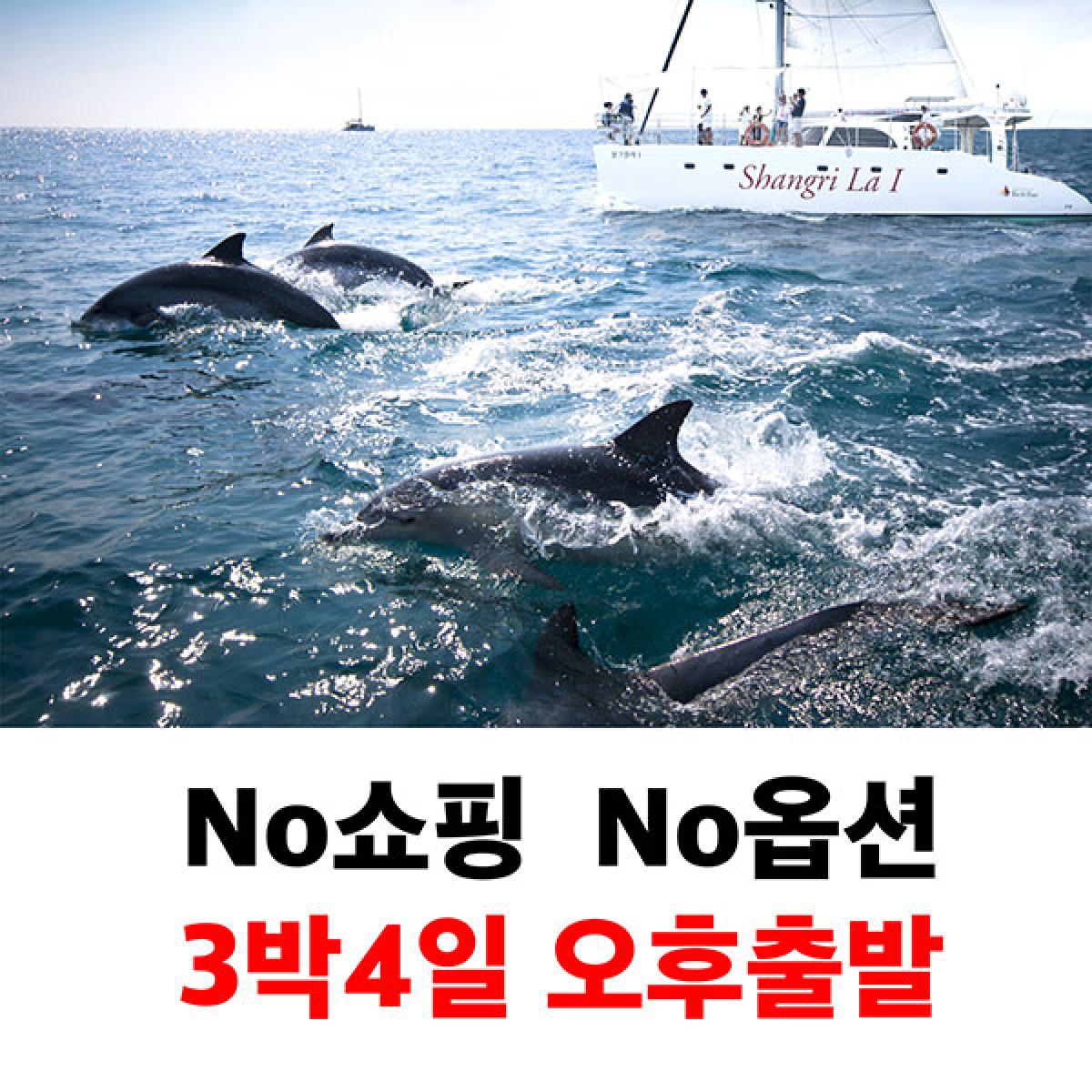 제주도 패키지 3박4일 노쇼핑노옵션 버스투어 오후출발