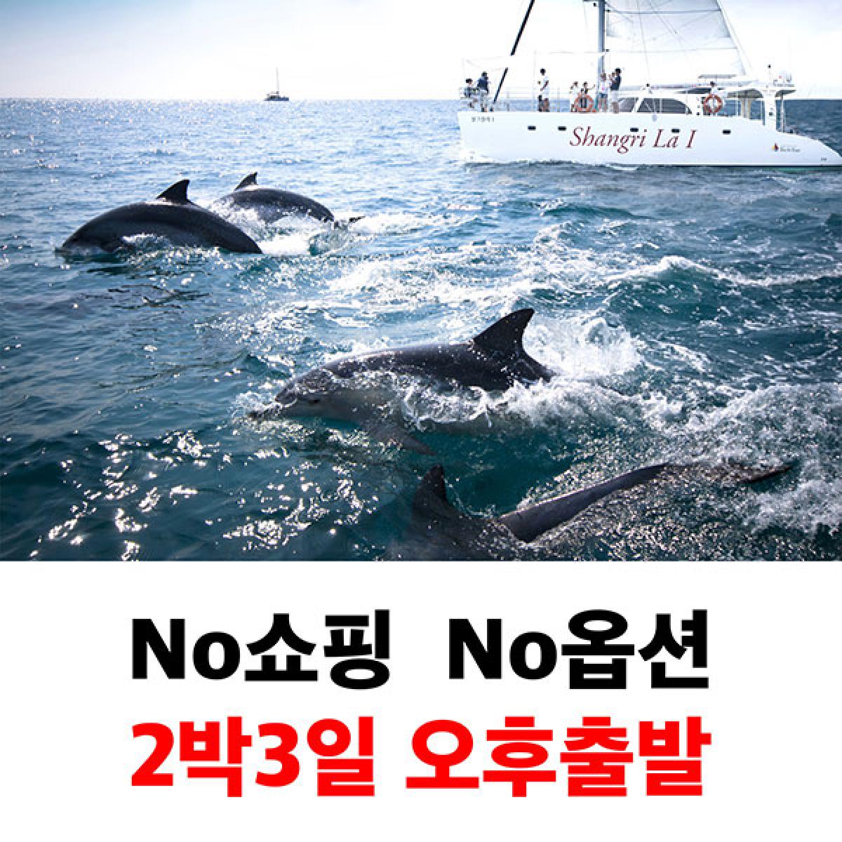 제주도 2박3일 오후출발 노쇼핑노옵션 버스투어 단체여행