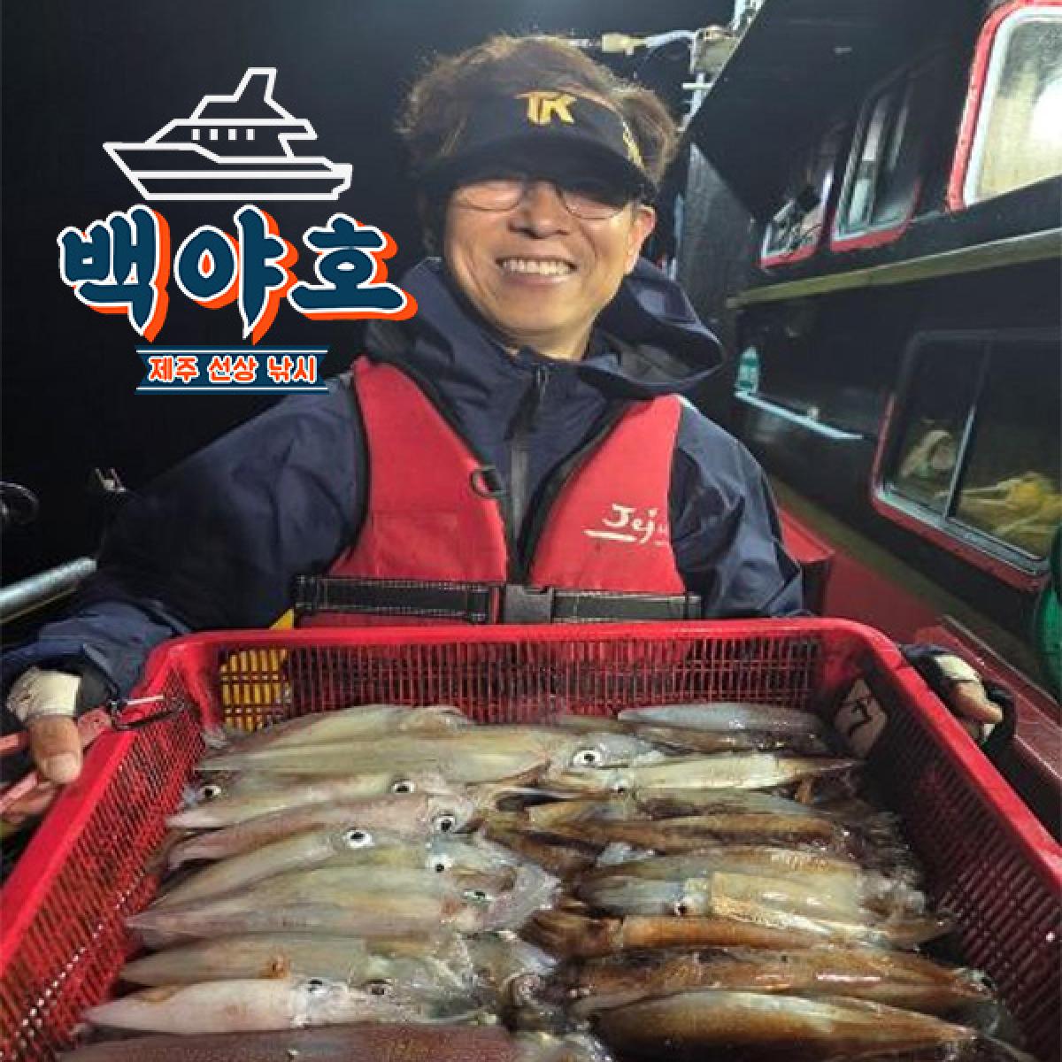 ★최저가★ 백야호 한치 시즌 승선권