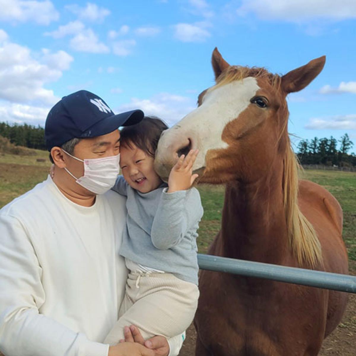 제주도 패키지 버스투어 1박2일 효도 관광 단체여행