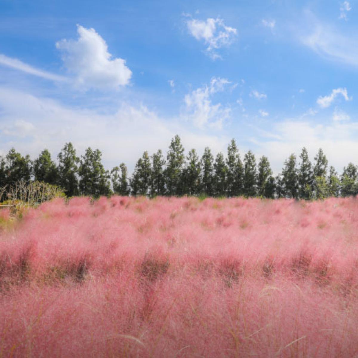 제주도 패키지 버스투어 2박3일 아침출발 단체여행