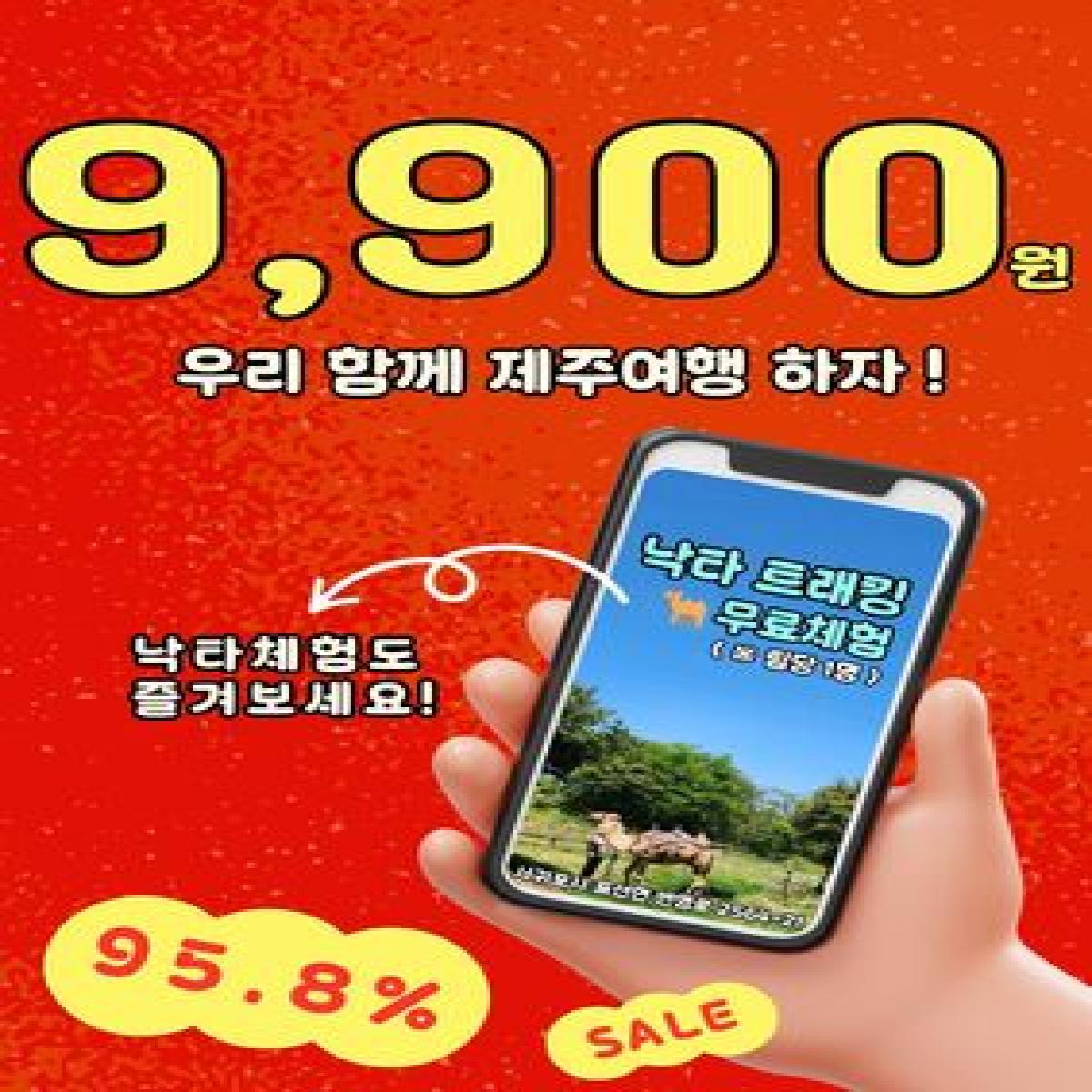 제주여행패키지(패스권)
