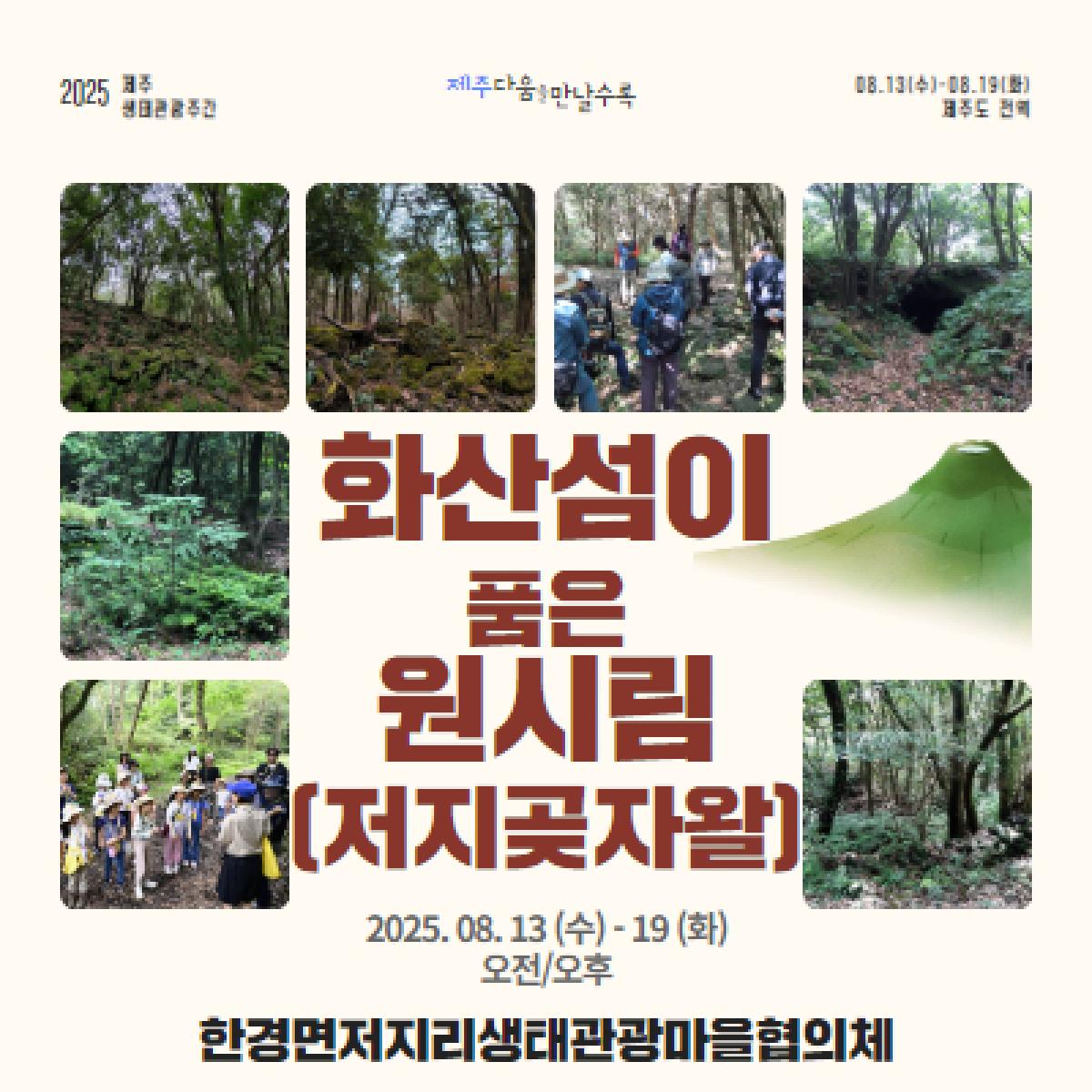 ★최저가★ 화산섬이 품은 원시림 (저지곶자왈)