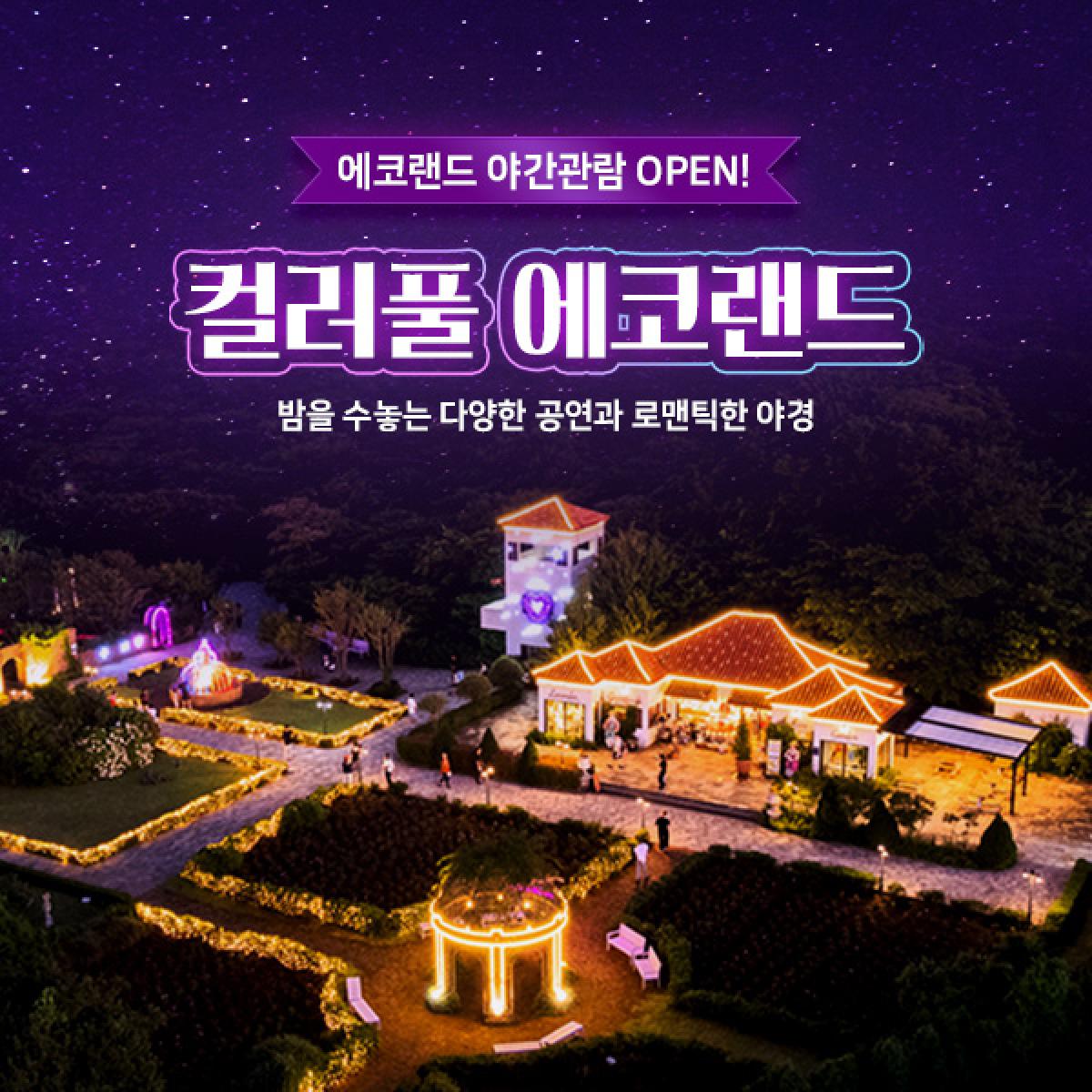 에코랜드 야간권