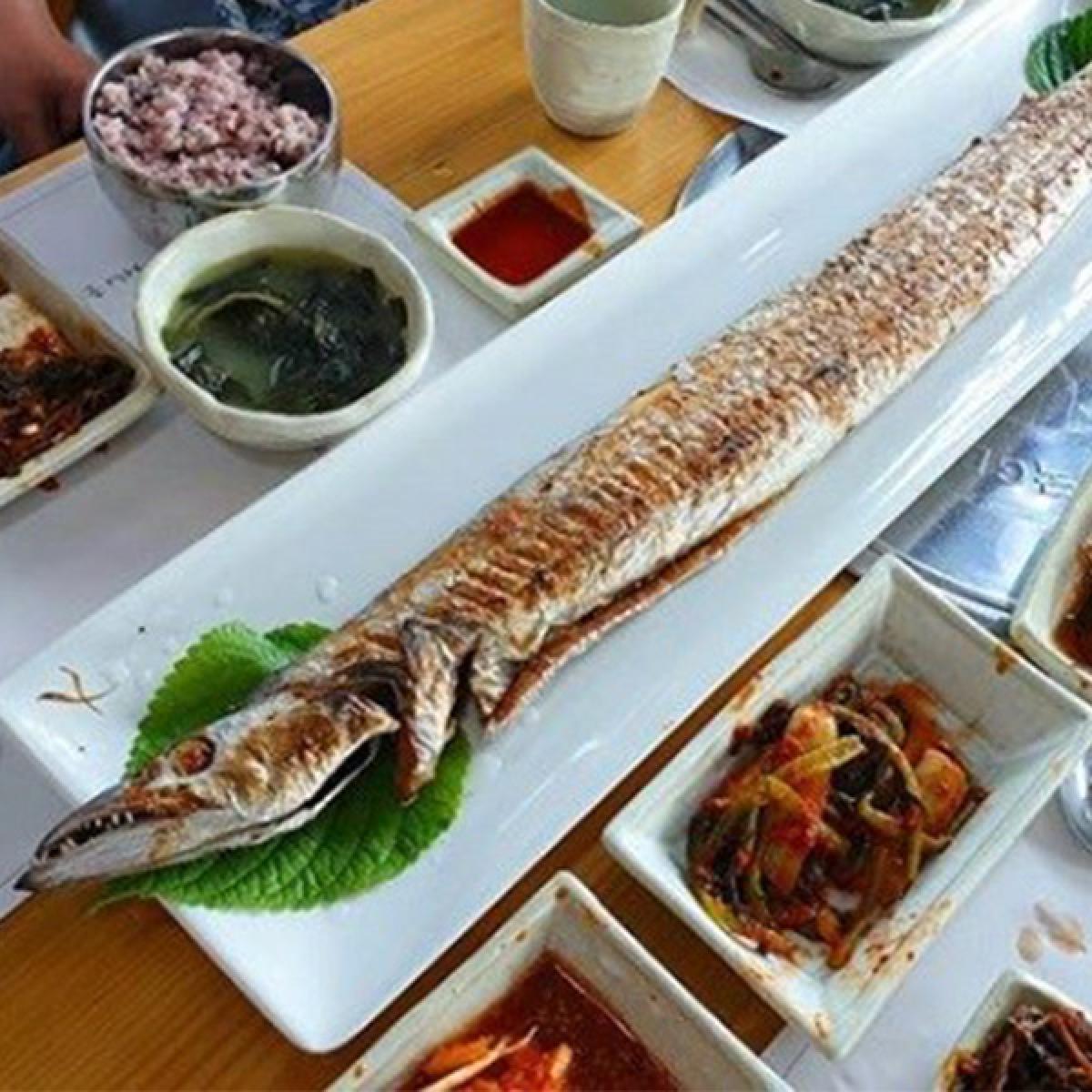 춘월맛집 식사권