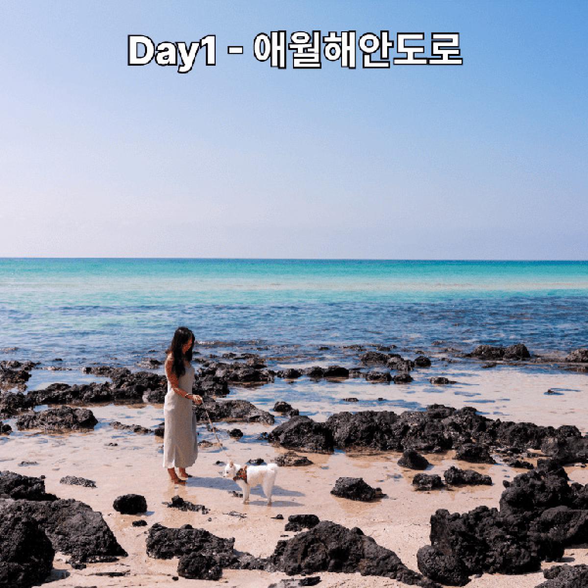 Gobark 반려견 동반 가성비로 즐기는 2박3일 여행