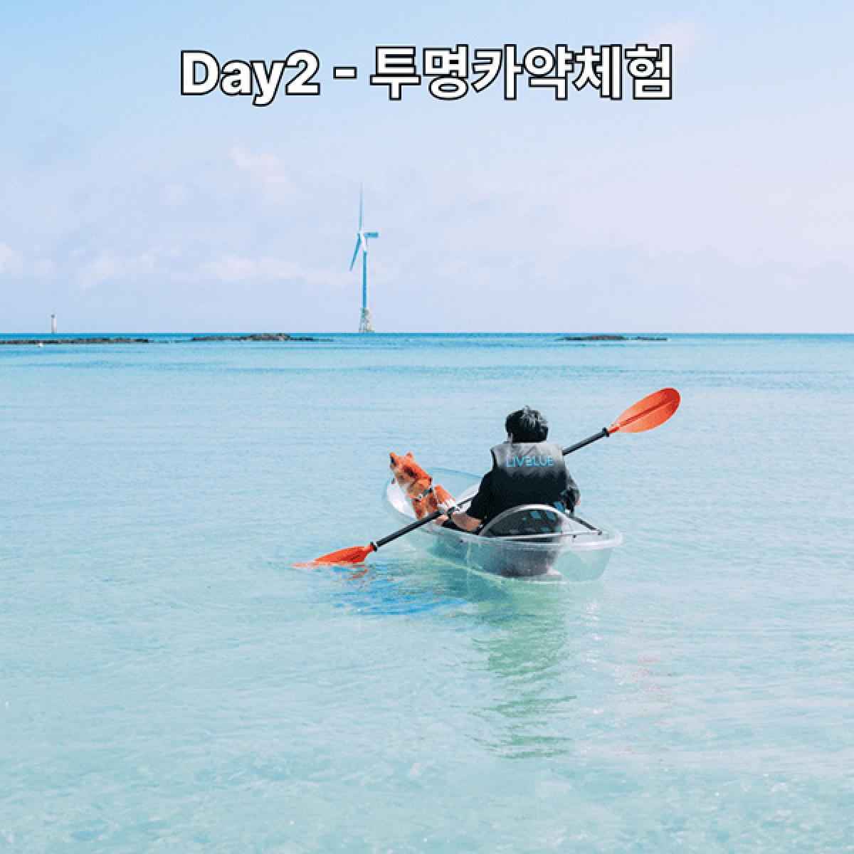 Gobark 반려견 동반 가성비로 즐기는 2박3일 여행
