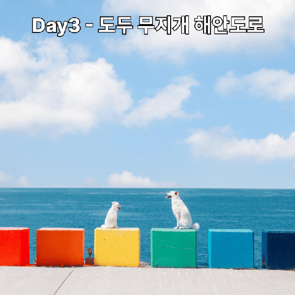 Gobark 반려견 동반 가성비로 즐기는 2박3일 여행