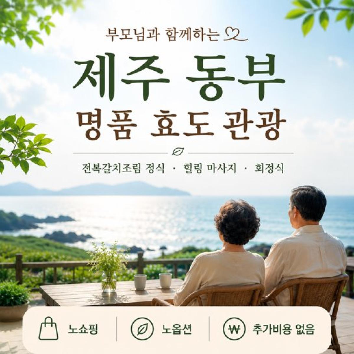 제주 동부 효도관광│마사지·회정식 포함│노쇼핑·노옵션