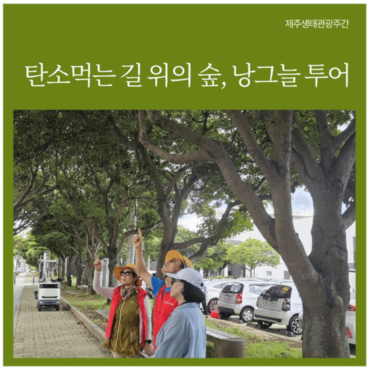 탄소먹는 가로숲, 낭그늘 투어