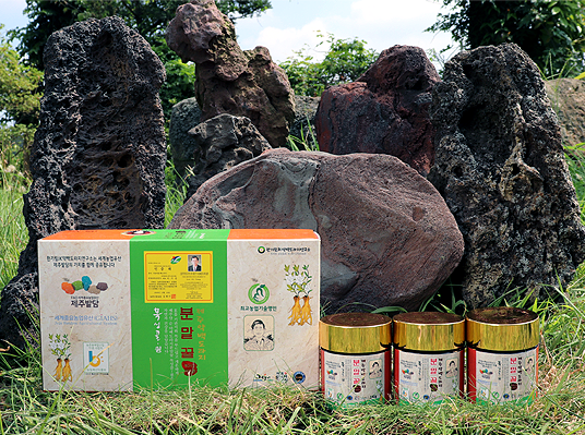 제주 약백도라지분말 꿀차 140g x 3개입 세트 상세
