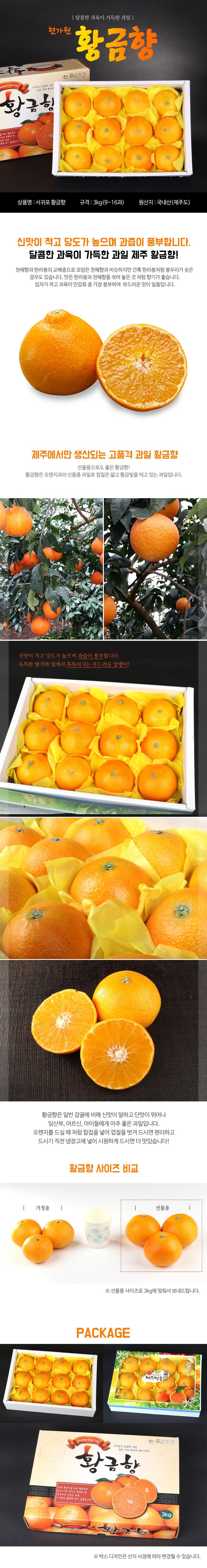 <현가원>달콤한 황금향 2kg/3kg/5kg(선물용) 상세