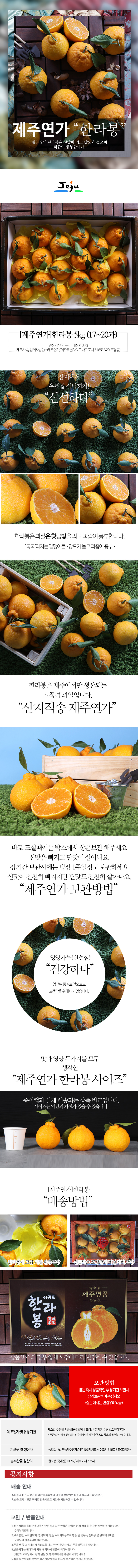 <현가원>한라봉5kg(선물용) 상세