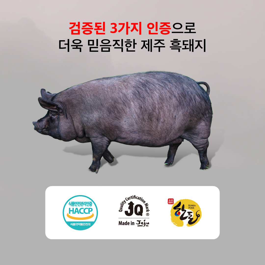 [산지직송특가] 이어도포크 초신선 제주흑돼지 상세