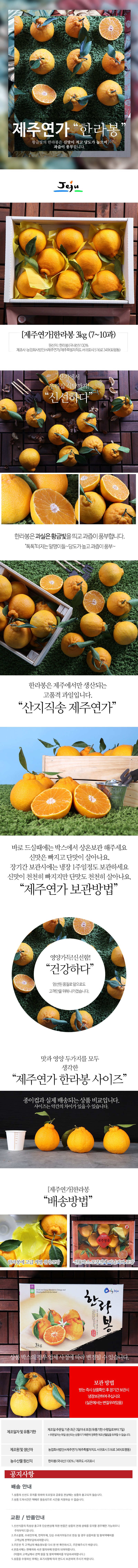 <현가원> 한라봉(선물용)3kg/5kg 상세