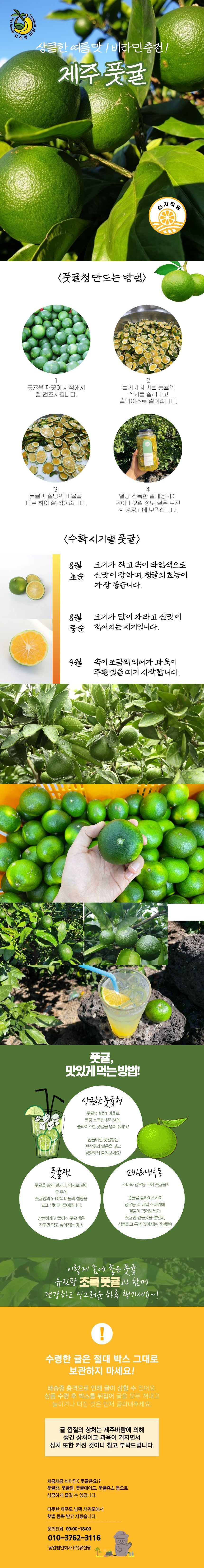 유진팡 제주산 풋귤 5kg 10kg 산지직송 상세