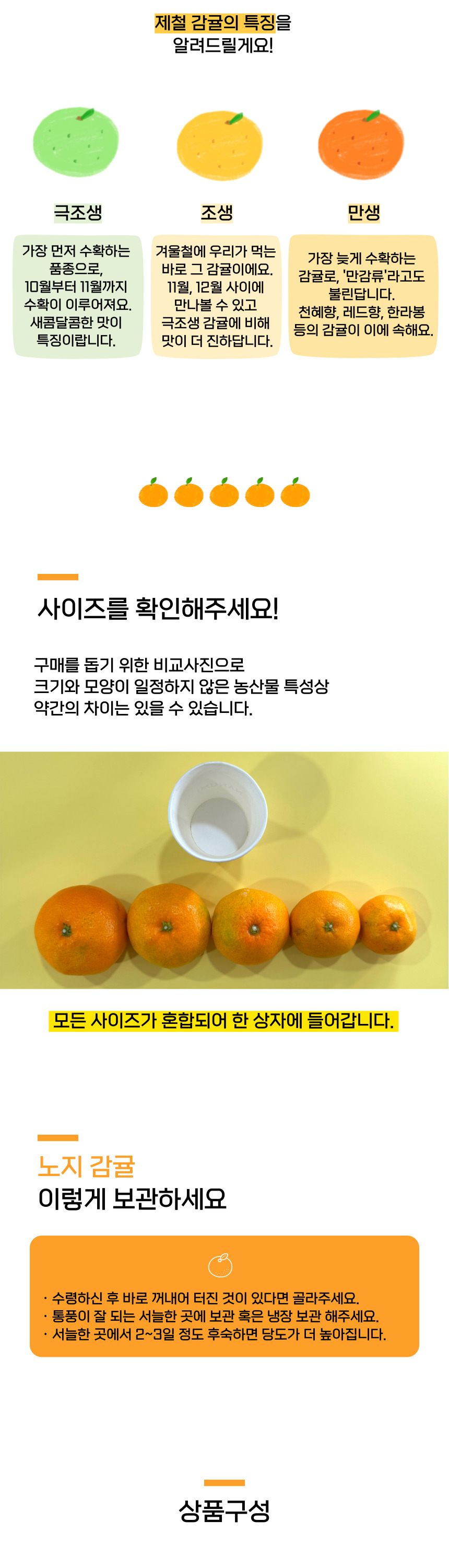 제주 감귤 노지 유라조생귤 서귀포 산지직송 유진팡 상세