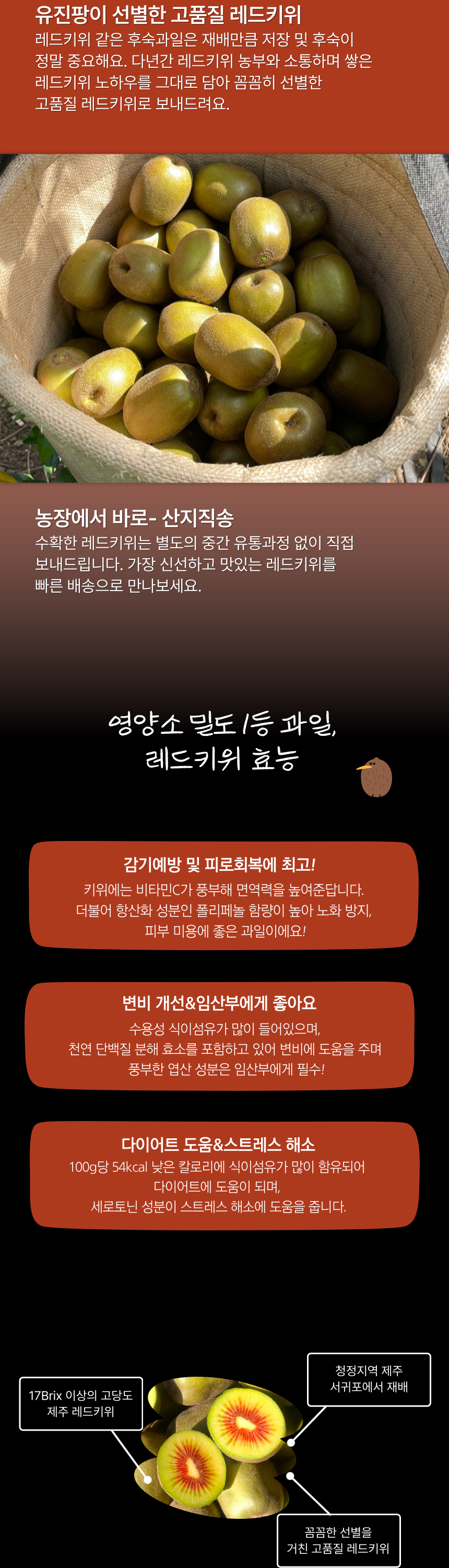 제주 레드키위 고당도 3kg 5kg 산지직송 상세