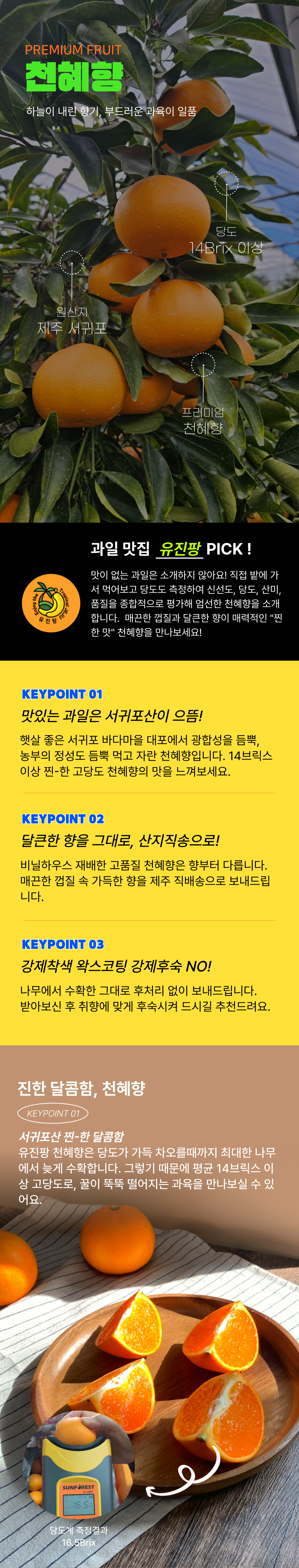 유진팡 제주 천혜향 고당도 산지직송 상세