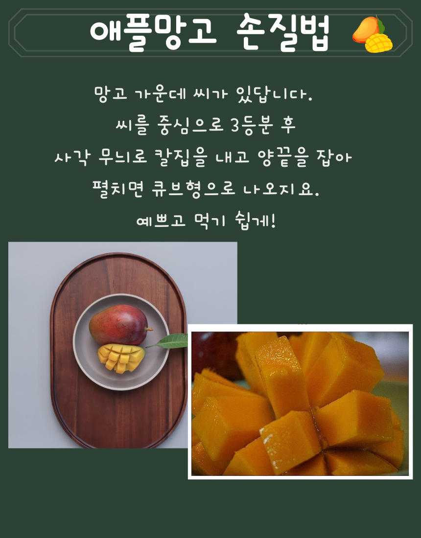 제주애플망고 특상품 선물용 2KG/3KG 상세