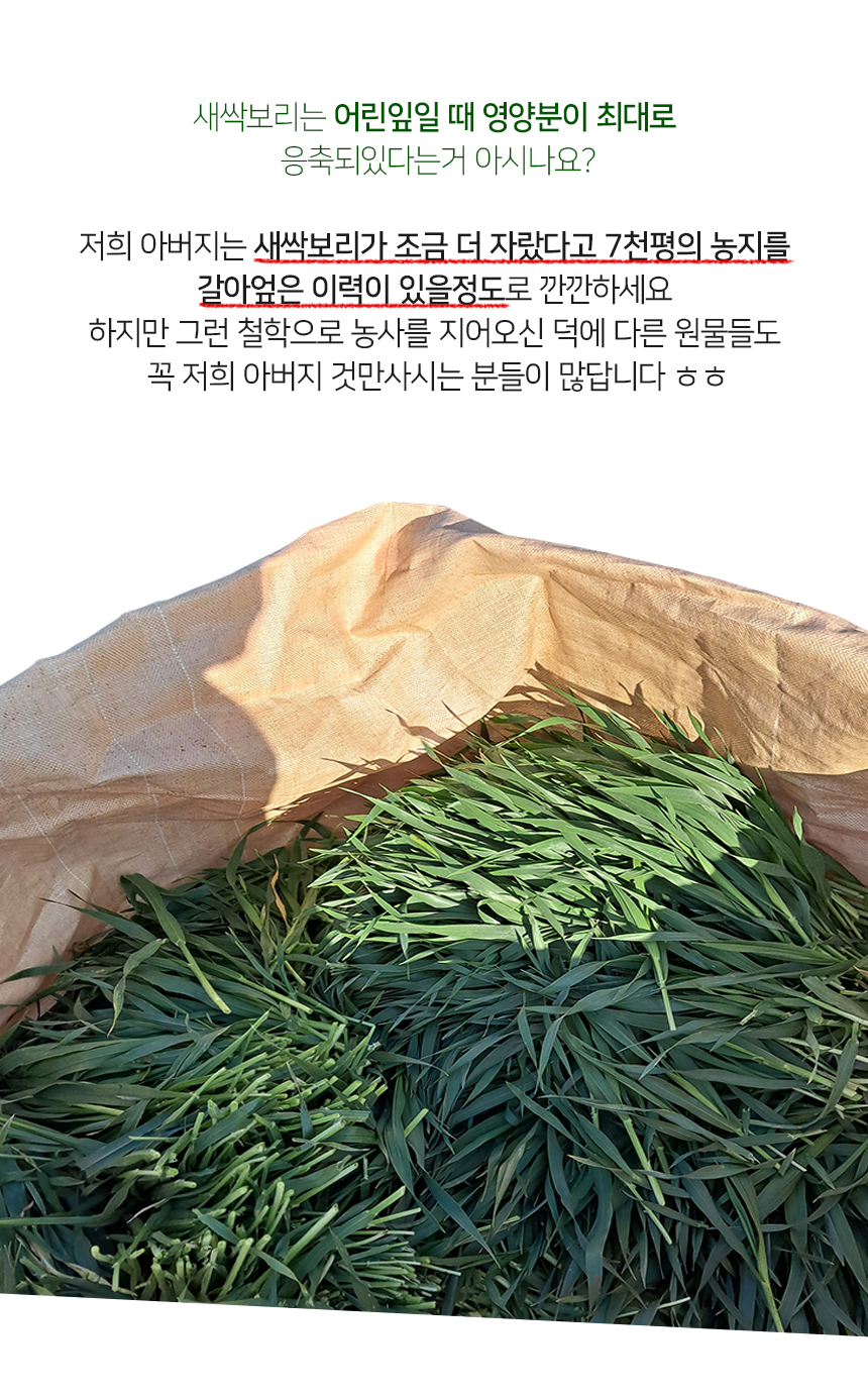 제주 오가닉스 유기농 새싹보리 분말 에어분쇄 저온건조 상세