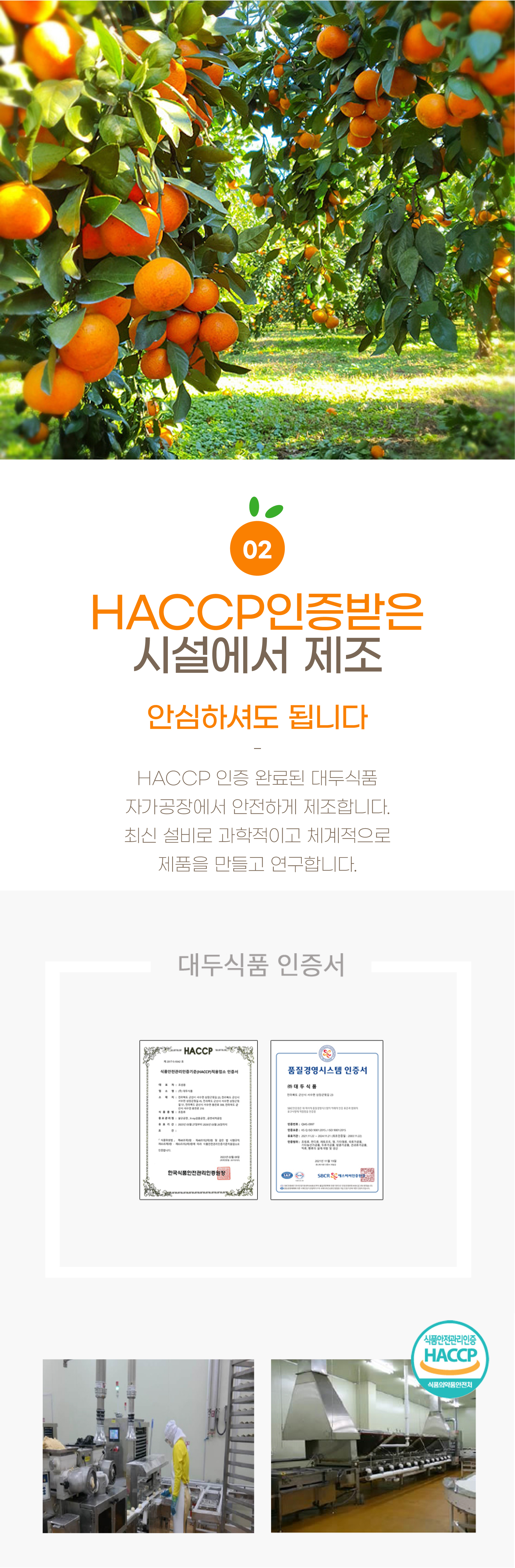 제주 폴개네 감귤양갱 상세