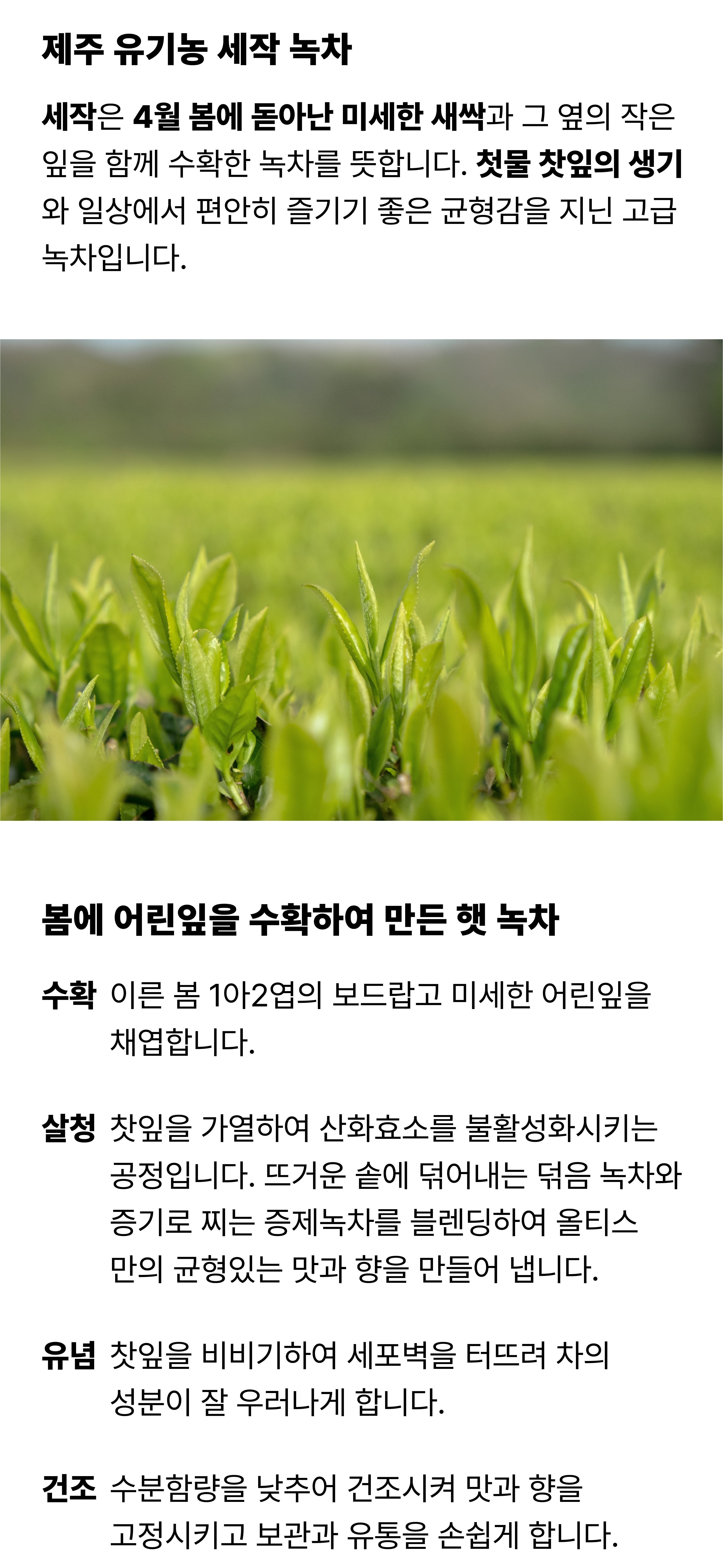 세작 녹차 50g★ 상세