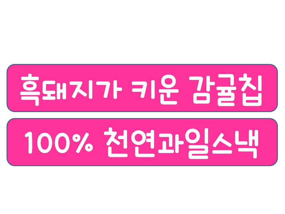 흑돼지가 키운 감귤칩 30g*3개입