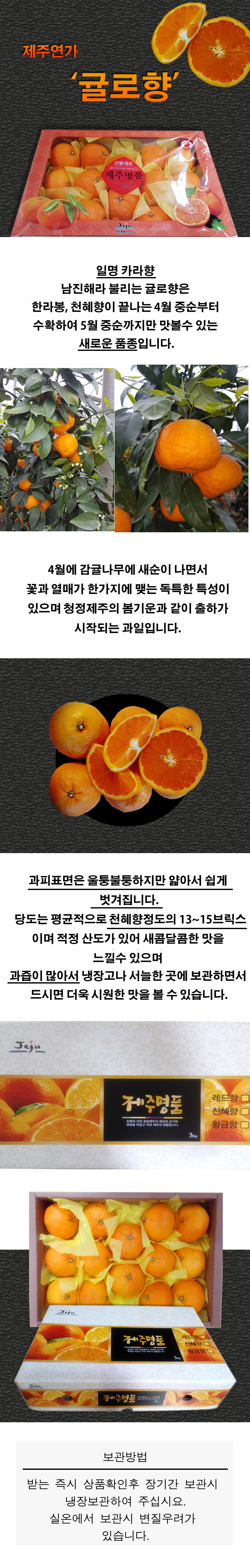 <현가원> 귤로향(카라향) 3kg / 5kg 선물용