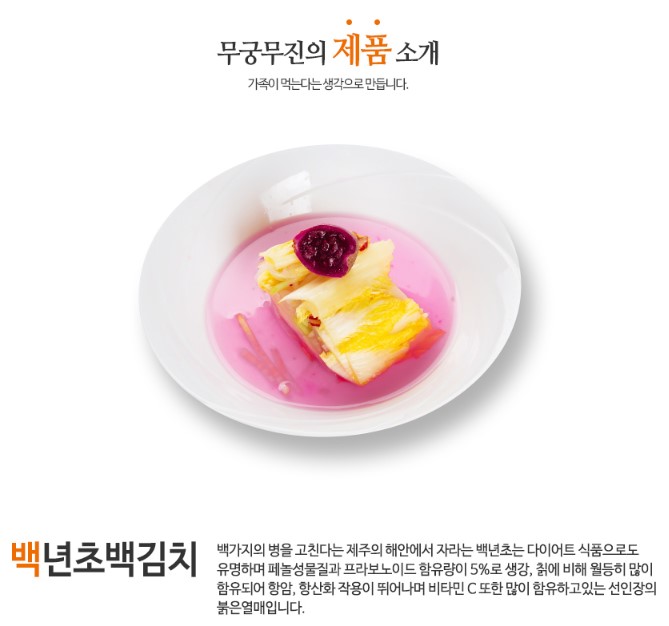 무궁무진 백년초백김치 김치캔650g