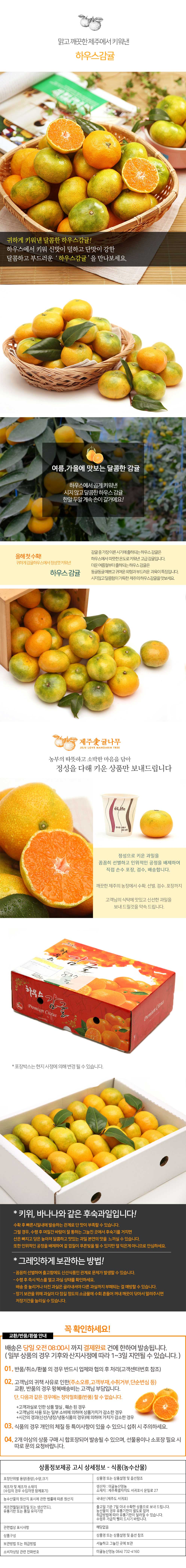 산지직송 하우스감귤