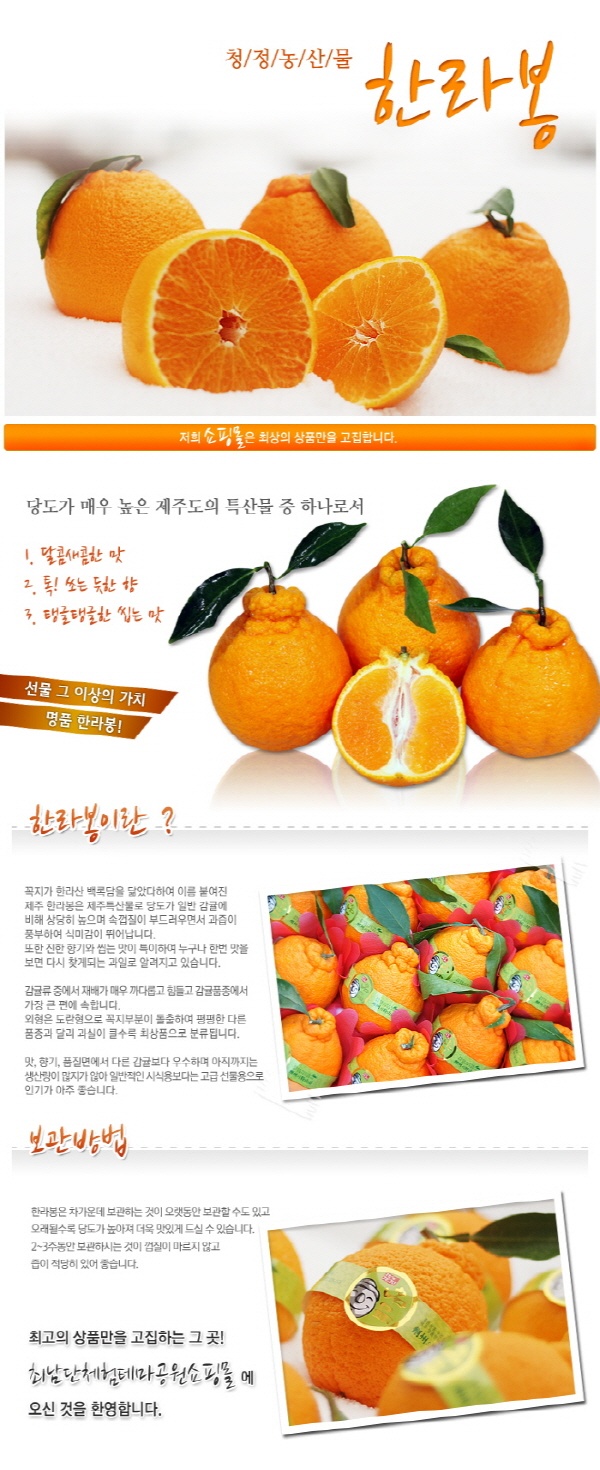 [최남단농장]선물용 제주명품 한라봉