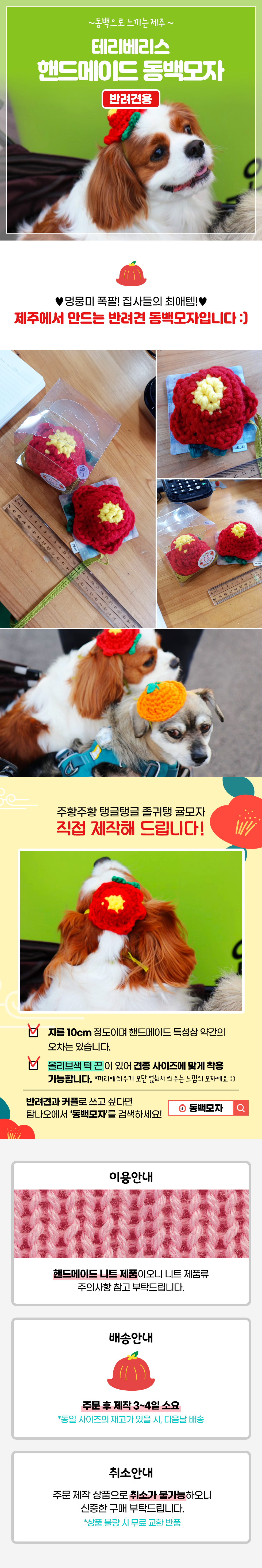 [테리베리스] 강아지 동백 모자