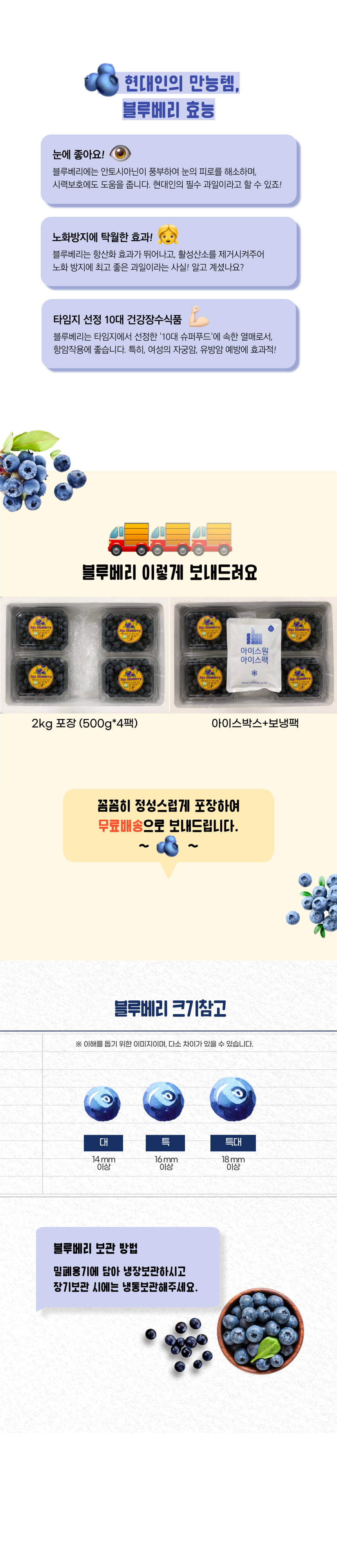 제주산 무농약 블루베리 생과 산지직송