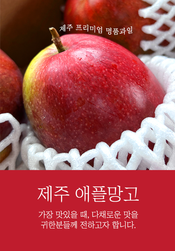 [대기만감] 제주 애플망고 미니애플망고 여름제철 선물용