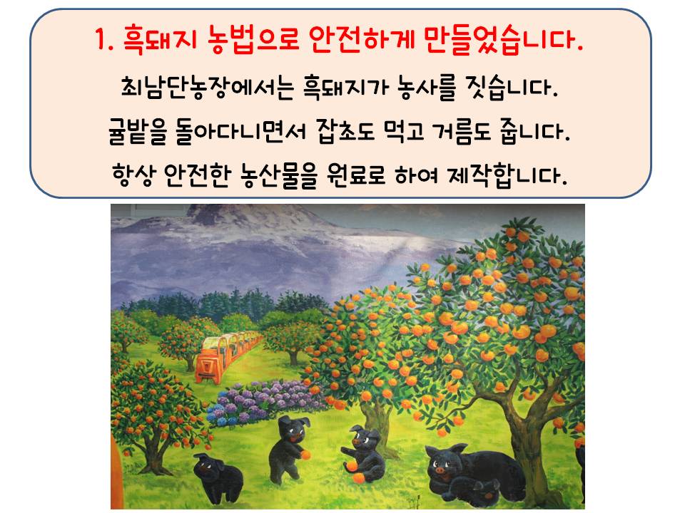 흑돼지가 키운 감귤즙 135ml