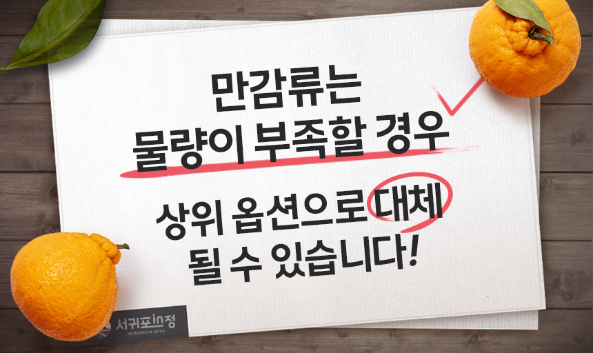 서귀포in정 한라봉 실속형/선물용 2.5kg 4.5kg