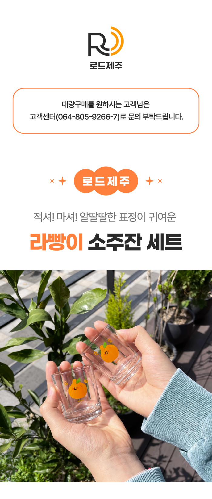 [로드제주] 라빵이 소주잔 세트