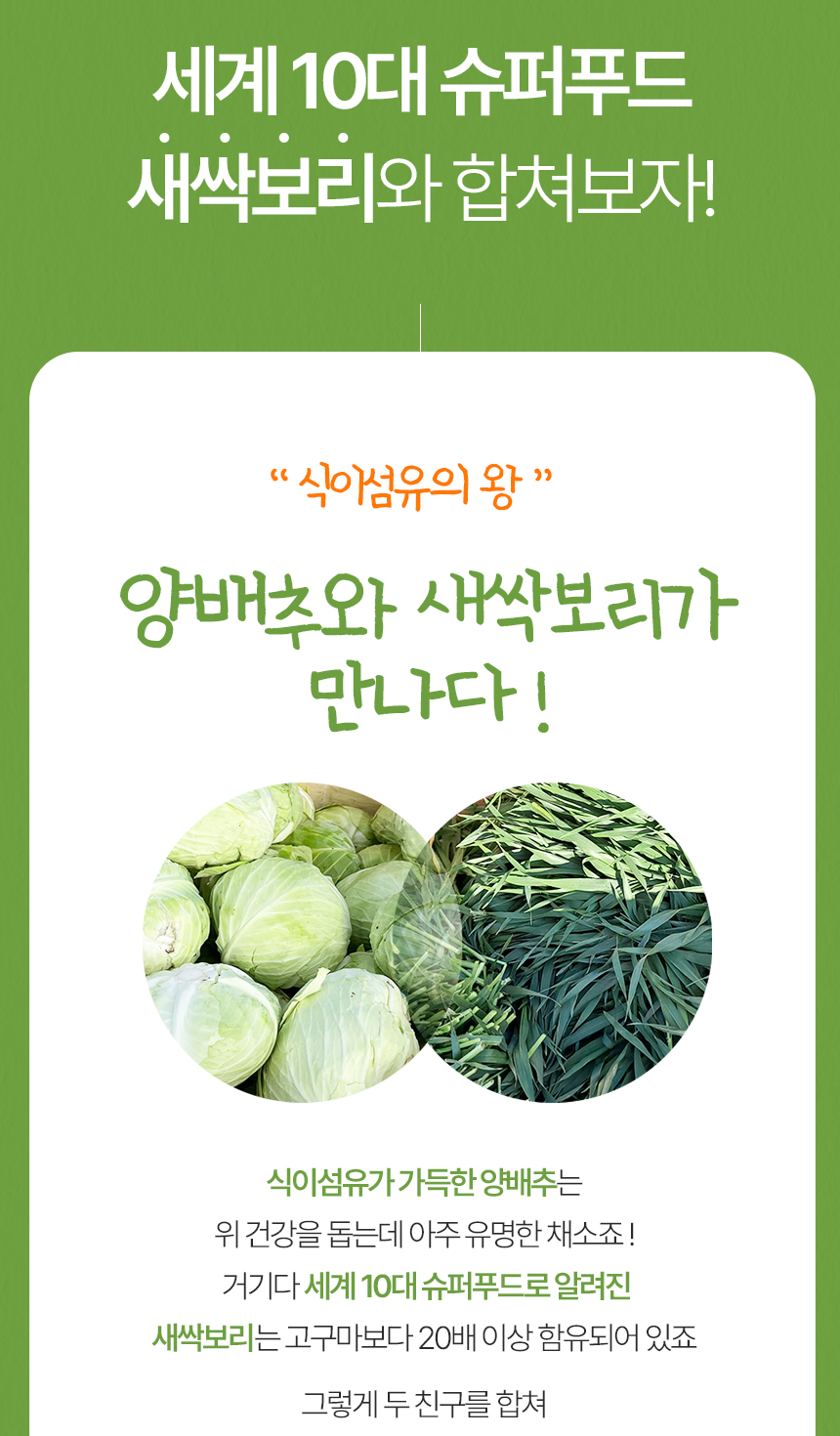 제주오가닉스 새싹먹은 유기농 양배추환 100g