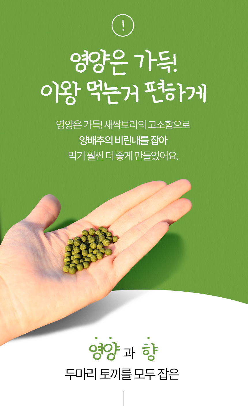 제주오가닉스 새싹먹은 유기농 양배추환 100g