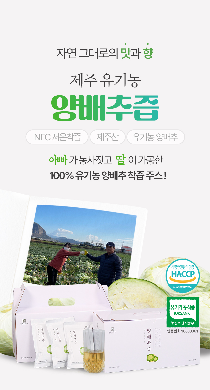 제주 오가닉스 유기농 양배추즙 NFC착즙 주스