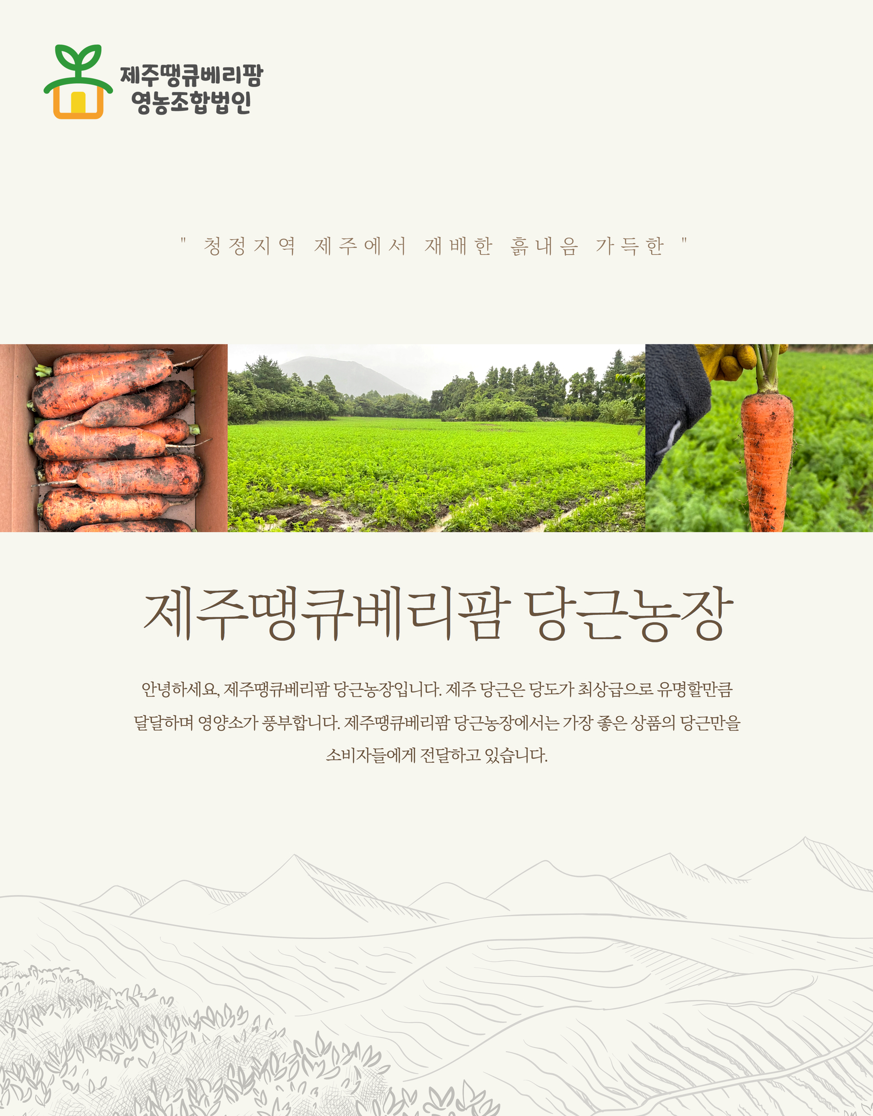 [제주땡큐베리팜] 구좌 햇 당근 중 3kg 5kg