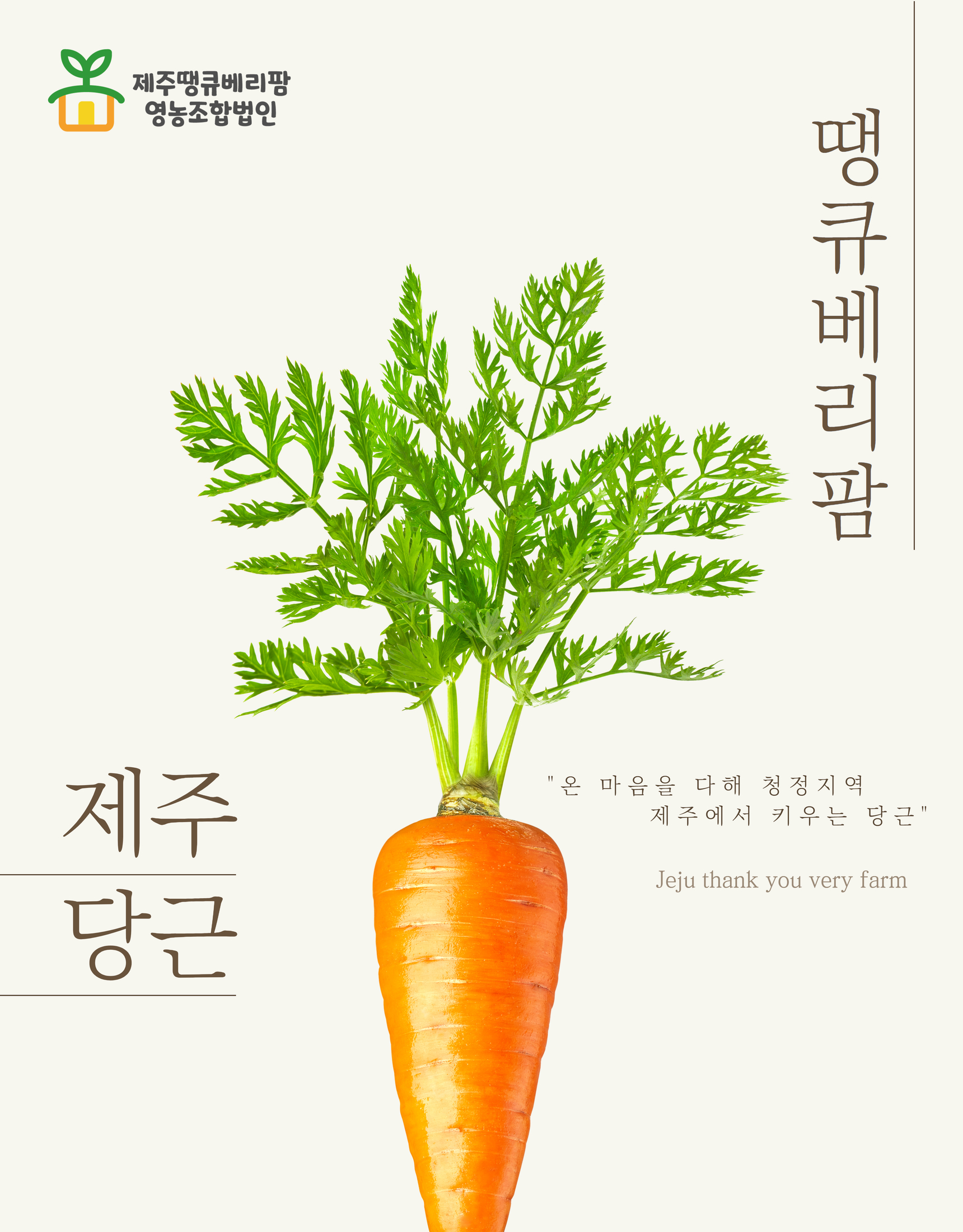 [제주땡큐베리팜] 구좌 햇 당근 중 3kg 5kg