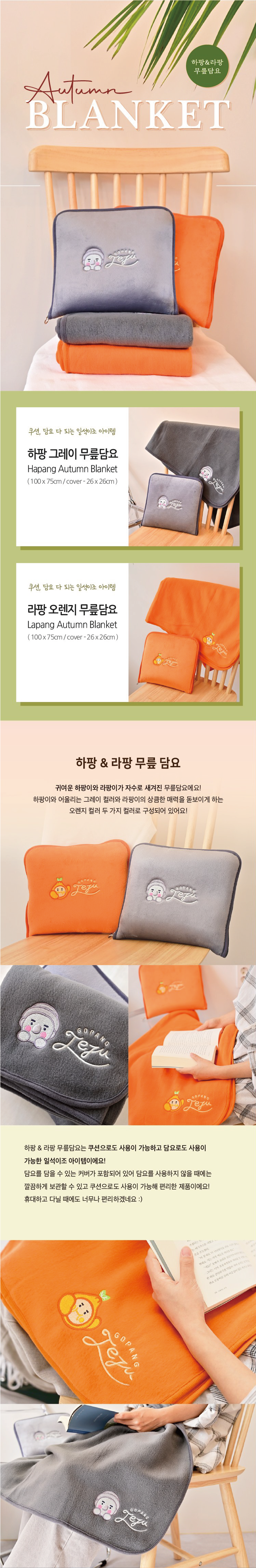 선물고팡 무릎담요 학생용 차량용 캠핑 차박 담요 2컬