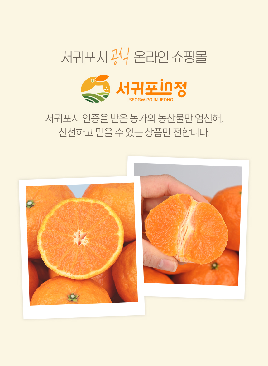 서귀포in정 카라향 실속형 2.5kg 4.5kg