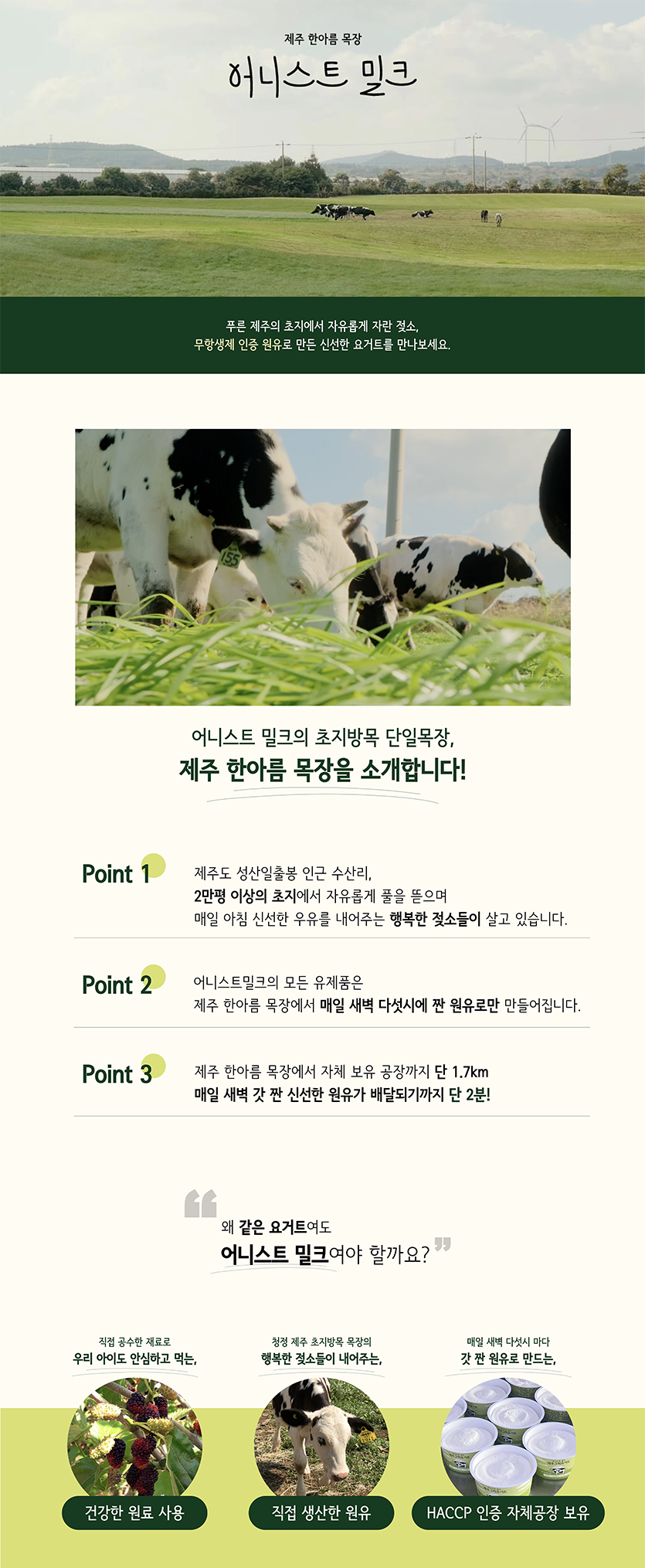 어니스트밀크 요거트
