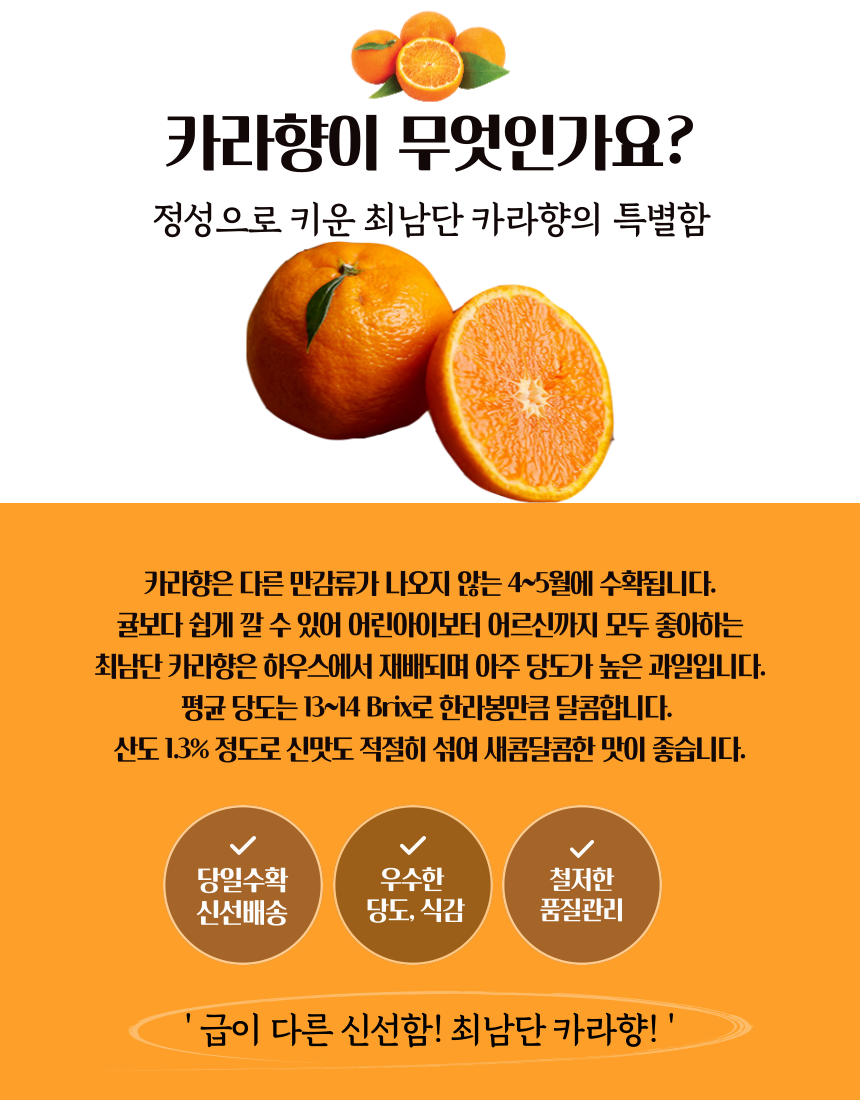 [최남단농장]선물용 카라향 3kg 5kg