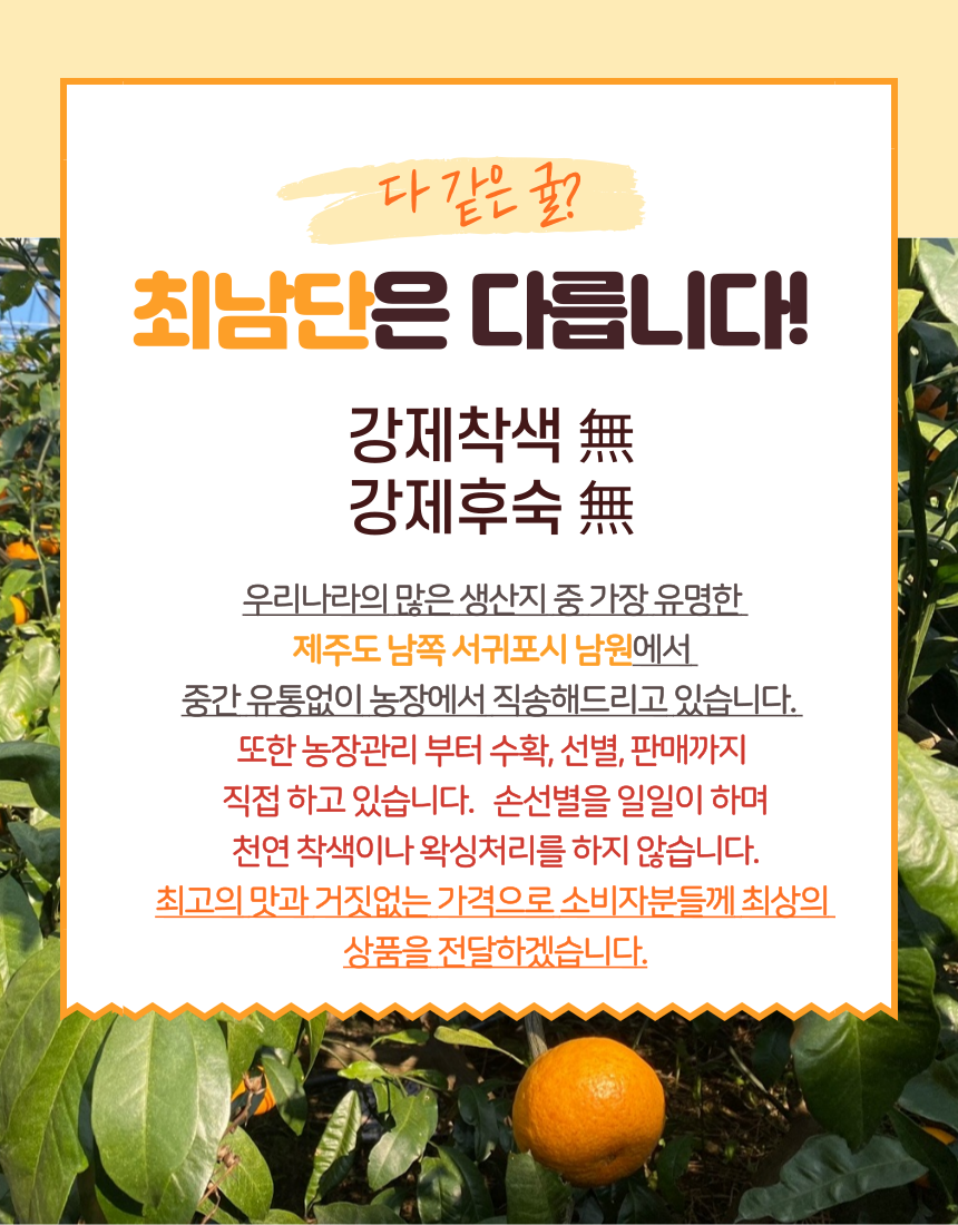 [최남단농장]선물용 카라향 3kg 5kg
