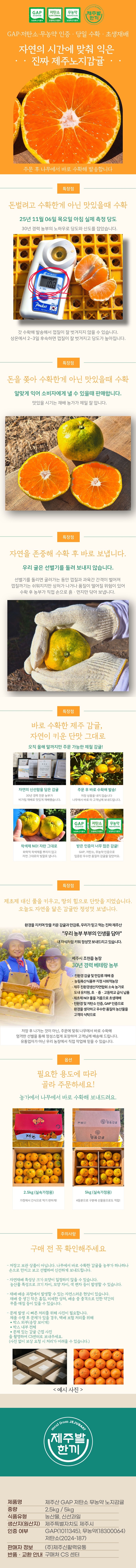 제주 조천읍 무농약 노지감귤 GAP인증 당일수확 상세